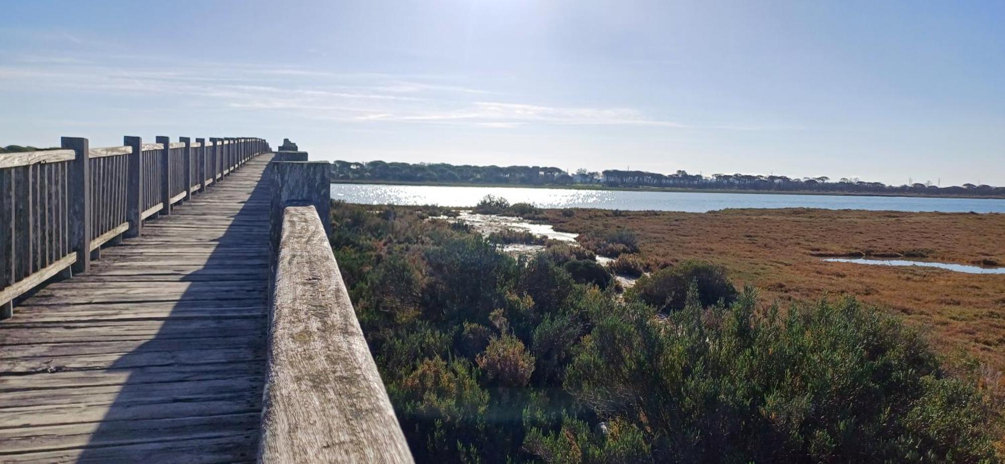 Apartamento Primera Linea De Playa Valdelagrana エル・プエルト・デ・サンタ・マリア エクステリア 写真